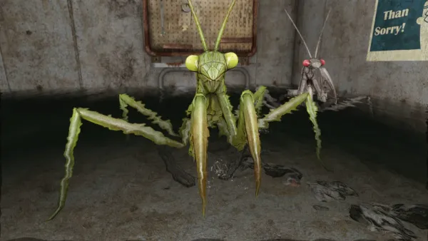 support - поддержка